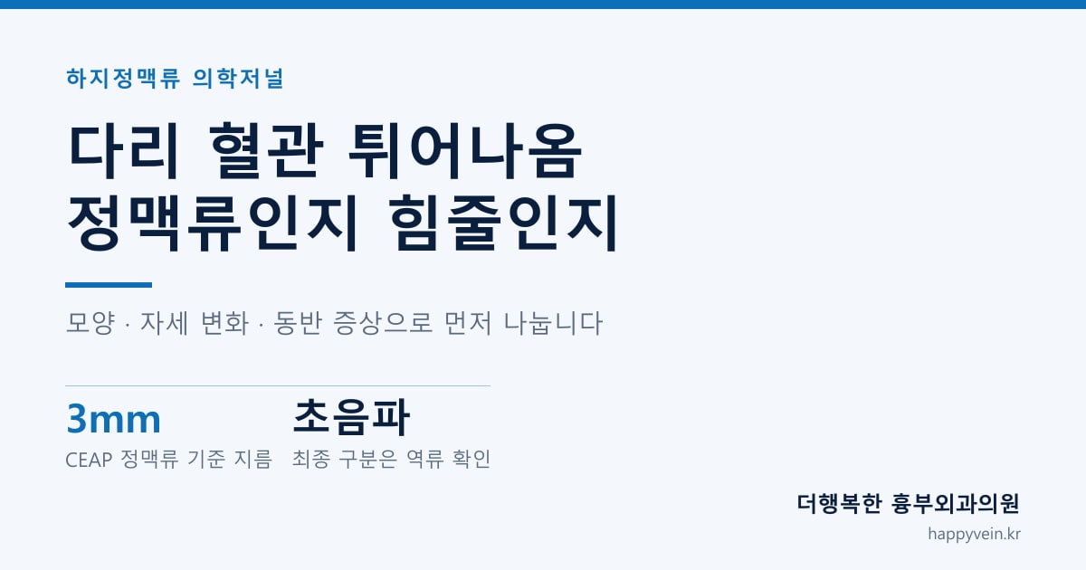 다리 혈관 튀어나옴 정맥류인지 힘줄인지 — 모양 · 자세 변화 · 동반 증상으로 먼저 나눕니다