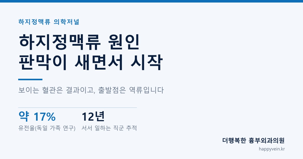 하지정맥류 원인 판막이 새면서 시작 — 보이는 혈관은 결과이고, 출발점은 역류입니다