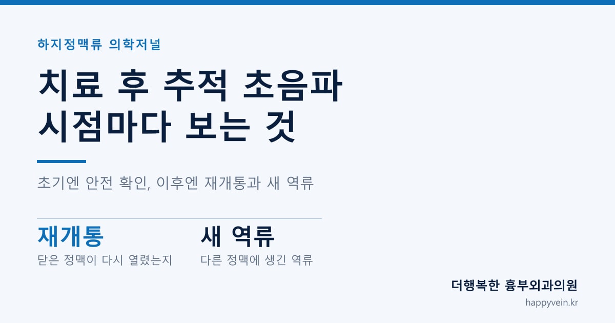 역삼동 하지정맥류 — 치료 후 추적 초음파로 무엇을 확인하나
