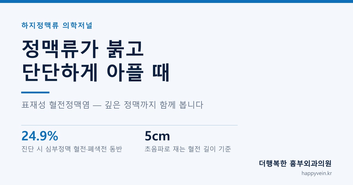 역삼역 하지정맥류 — 정맥류가 붉고 단단하게 아플 때 표재성 혈전정맥염을 가르는 기준
